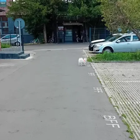 Appartement Bierutowska Wrocław